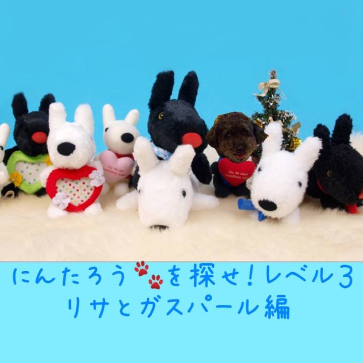 F4ea8c8d 264d 4ac3 b151 1ecceaa704ad