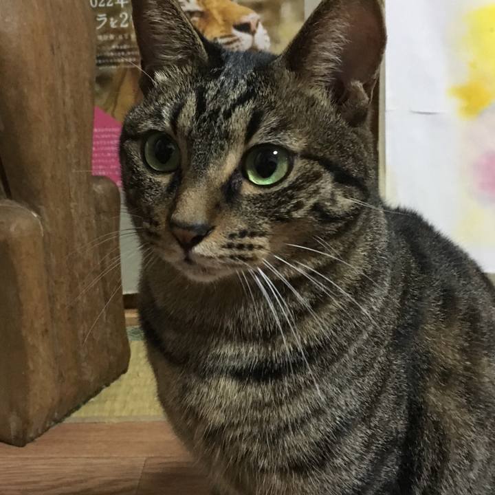 F4eaca5f 161a 4723 b5f8 444400a01c8d