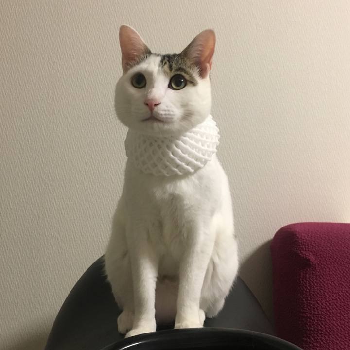 F4eb29be ccad 4a52 881e 41055e2cc9b1