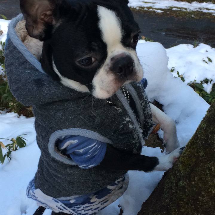 F4ebc168 7f1b 4277 a992 5479131d3d3b