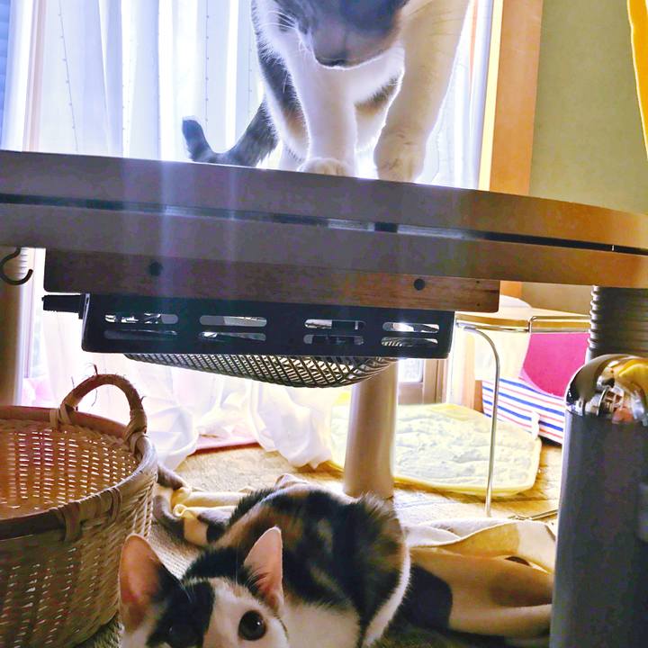 F4ed0cb2 afca 45bc bbc8 8a7539795ce5