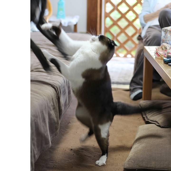 F4ed2729 b2d1 4919 880f df50074d54f1