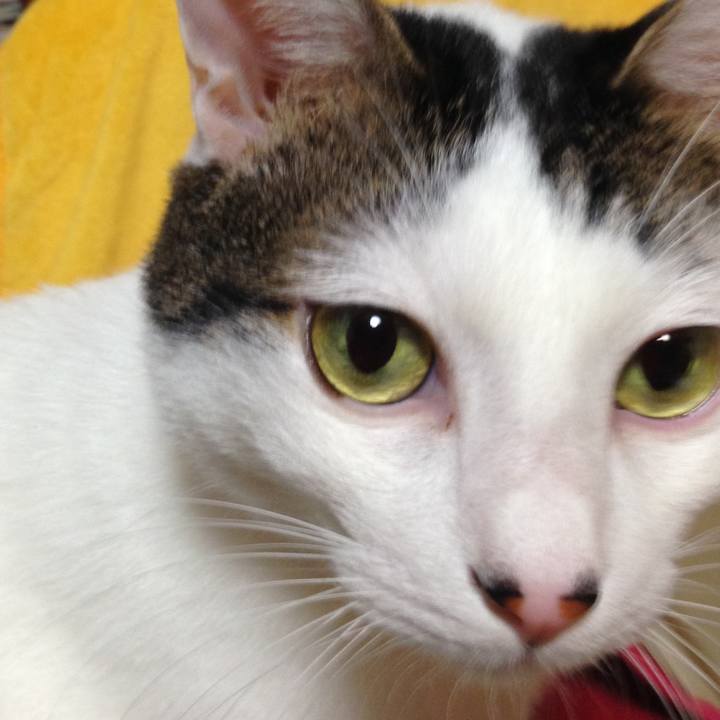 F4ee871f b043 4bd7 bf16 0a2c827a7faa