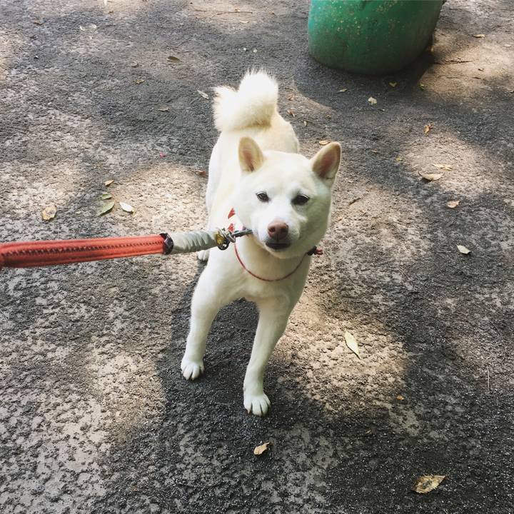 F4efc674 95be 4a66 8d87 c92b7588e596