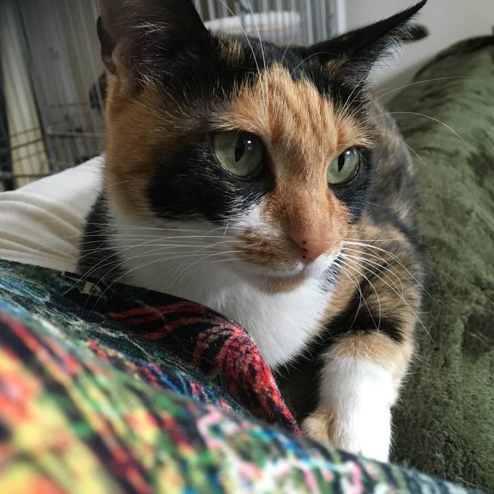 F4efcba4 22aa 479a 9aca 467480bd5844