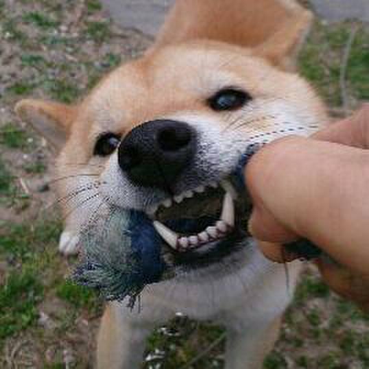 F4f0b1c1 65aa 4ab3 966a 6f512dc139d7