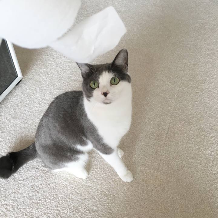 F4f179cf 1766 42a1 86f7 641f5522ffac