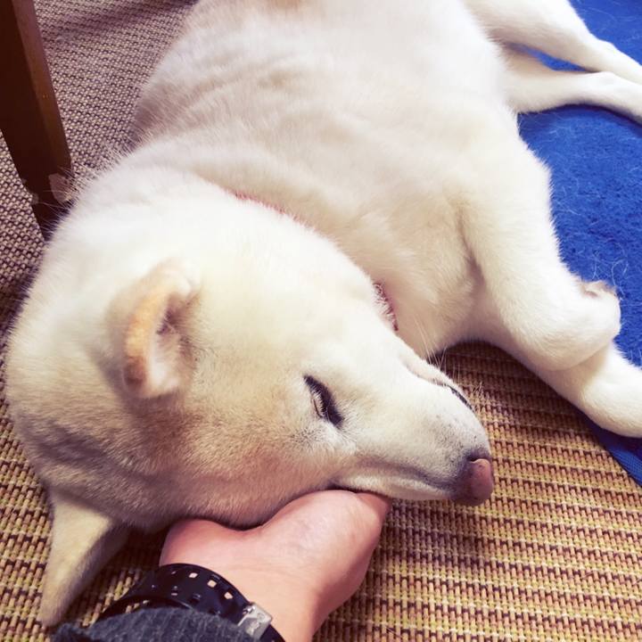 F4f1fb72 255a 4a0a 9630 143064340e1e