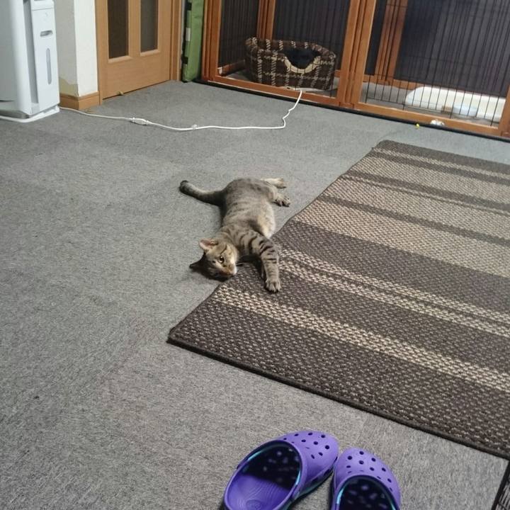 F4f20028 ff6e 4fe9 9a67 6247bcc79754