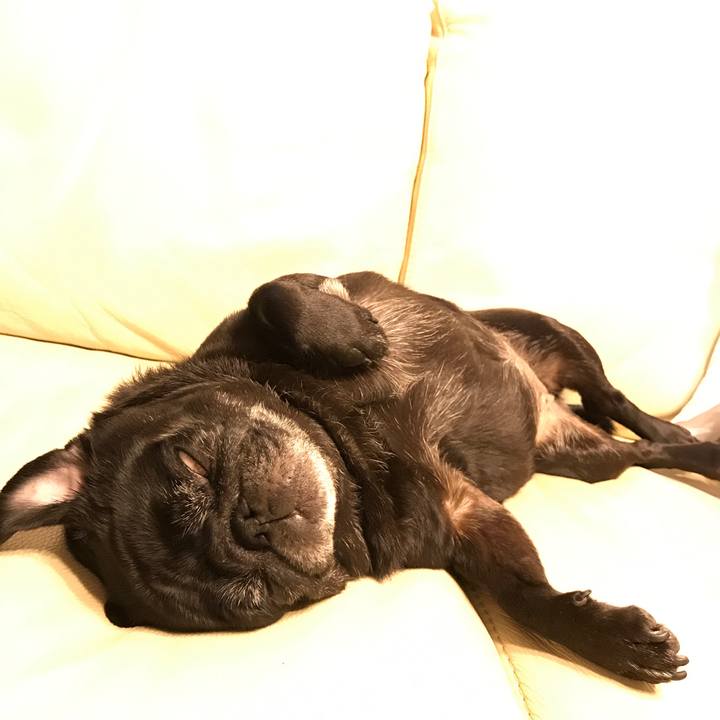 F4f27658 4f3e 47a2 baaa 5713ec20c9be