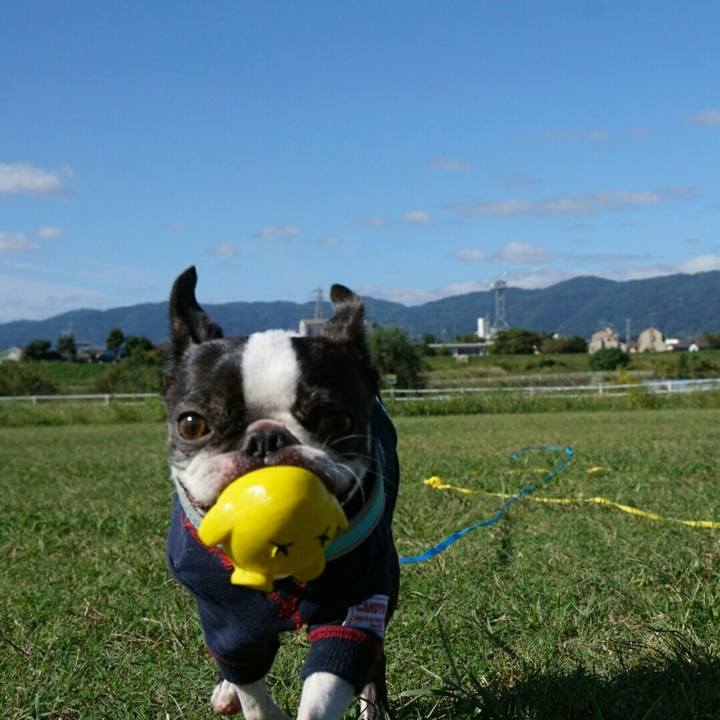 F4f2f53f 4ed2 434a 91aa 861b668e4df8