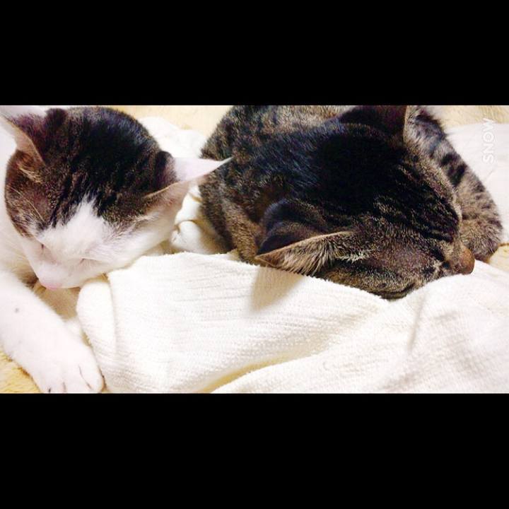 F4f35529 b18e 41e0 b5d9 9e6e119d1ad2