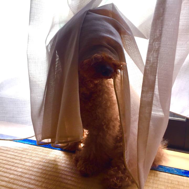 F4f4d025 81c0 439c 8e90 87a81ae48004