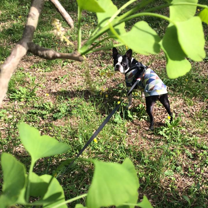 F4f5103f 2e94 4e82 8ade c6ce3dfcf2f7