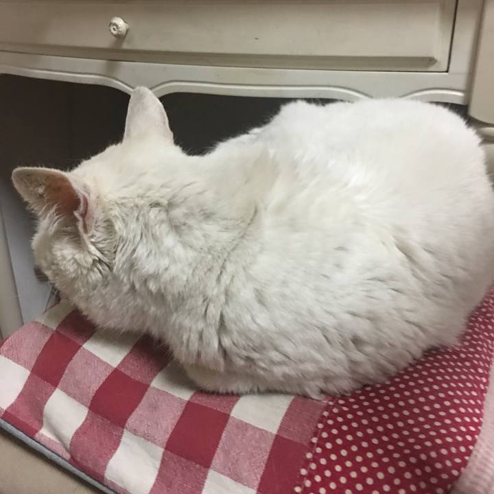 F4f5136d 31c9 4d81 91c2 9458fb346d0b