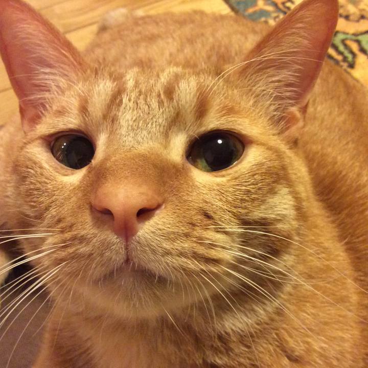 F4f5969f 3fef 4c01 990f ea7370e111b5