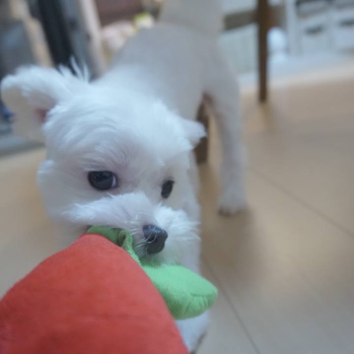 F4f59811 8d90 41c8 ade9 917a264225c3