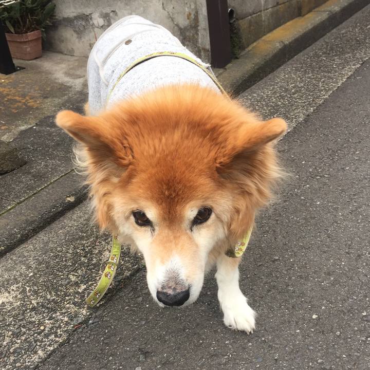 F4f5a6de 58af 40ab b03e 32044a2b366d