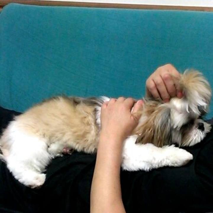 F4f5b5a4 5356 4dbe bfb0 b4f30634938d