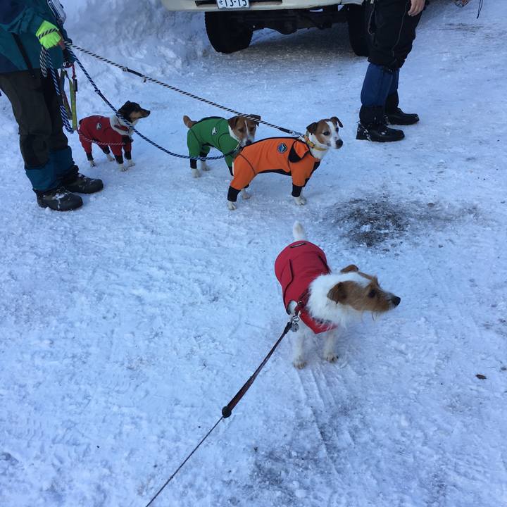 F4f5d9b1 17c6 49f9 86ae 3ad1c439fddd