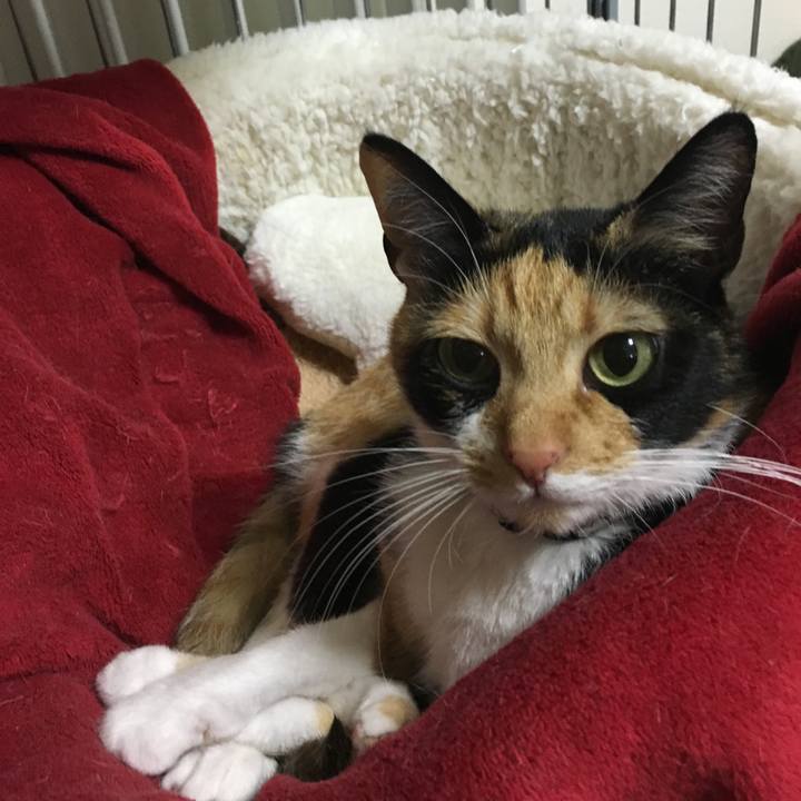 F4f5f382 cc22 435c a0dd 0a21f0334281