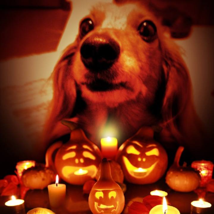 F4f5fa0a 737c 4e81 8325 250a1e206a61