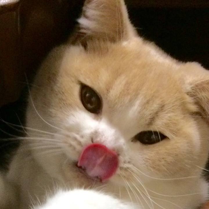 F4f60e30 e127 48b6 a8c6 9bf199b9184c