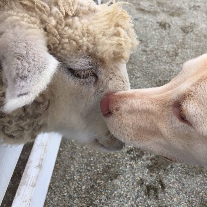 F4f70d6a d611 4bdd a4d3 8844c27ceaa7