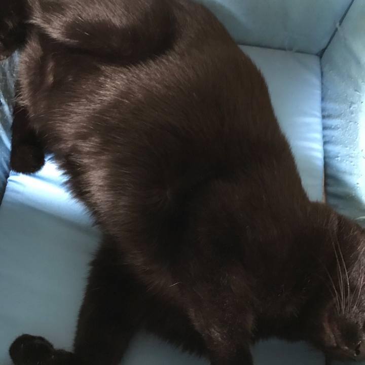 F4f77142 fe40 4b0d bde1 2f506ec29afd