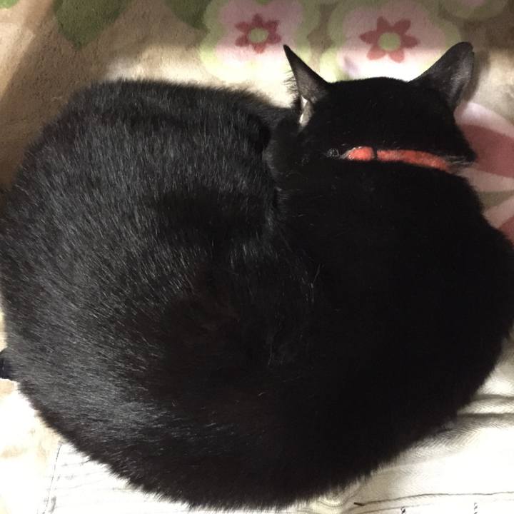 F4f7ad1b 1383 4072 920b af1f7db9e171