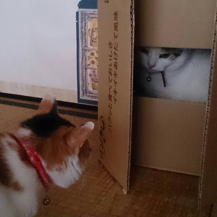 F4f7f201 d04f 4506 8625 0e99f084a5af