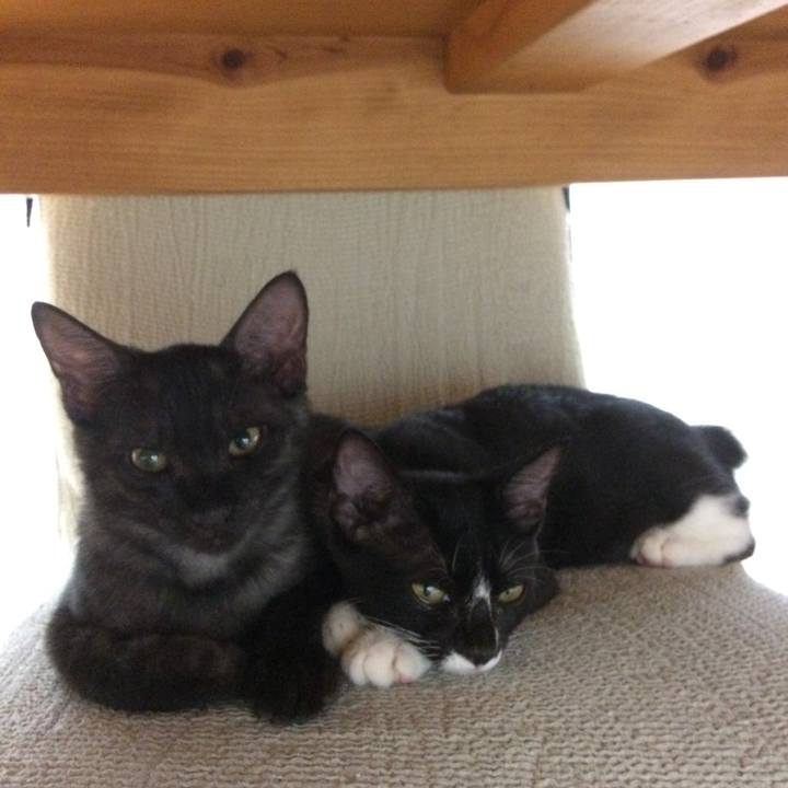 F4f81101 aaab 4a80 a670 7ae90b699539