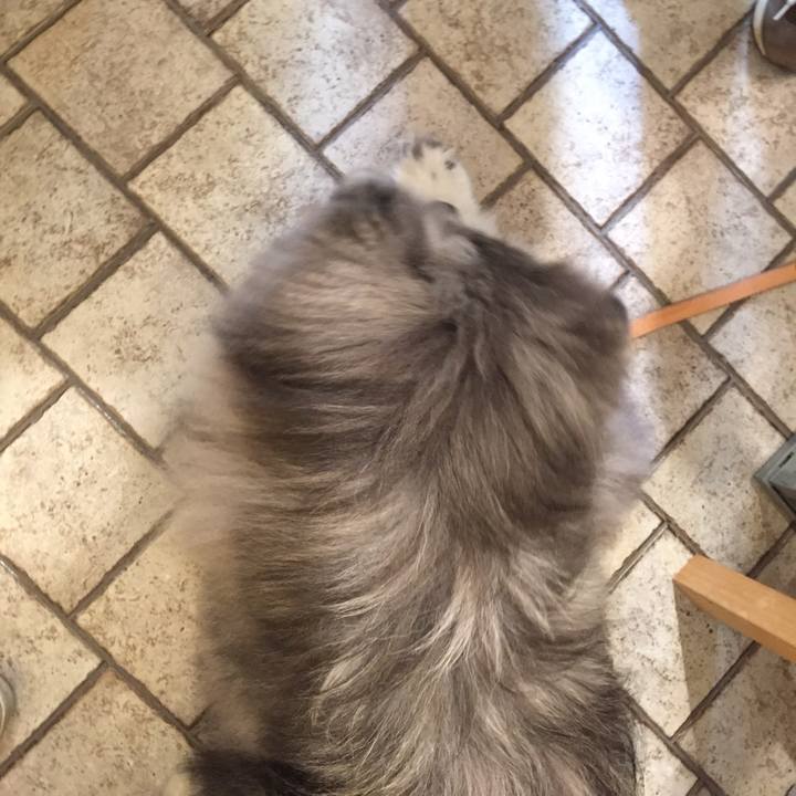 F4f9bef8 841c 4c49 9190 57a08e3f2bcc