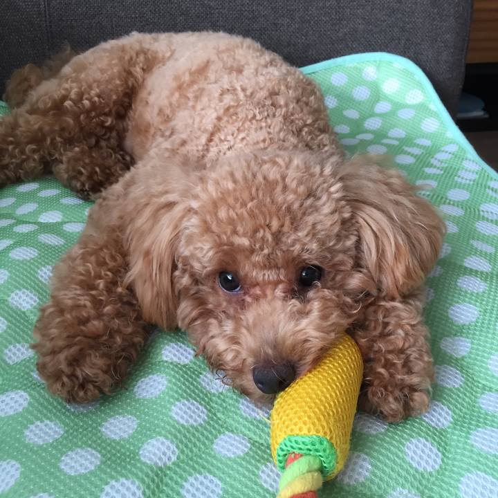 F4fa0685 5695 469b 8e00 0369cae904dc