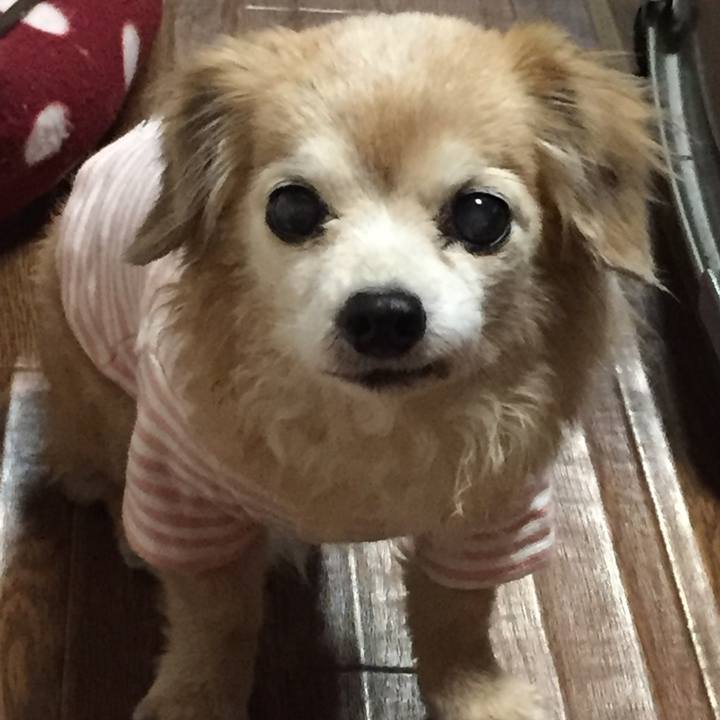 F4fb3c0b 9a61 48e2 b2e7 6a3788f5299c