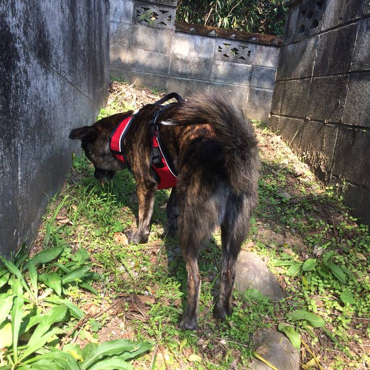 F4fb9f1b e2da 42fe 92fb b6c35b1c9a5e