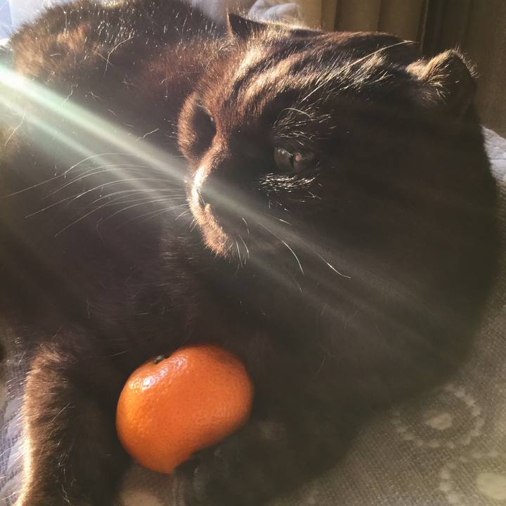 F4fcd20b 3bac 4c70 90e9 75d2c5110d83