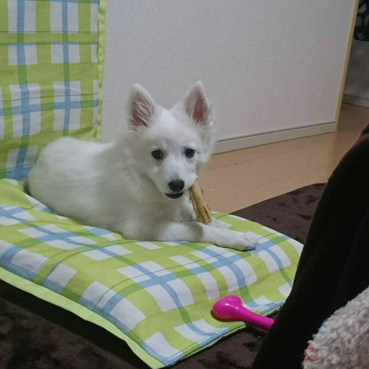 F4fd0533 f105 4774 bcc3 f3e3691b9f4f