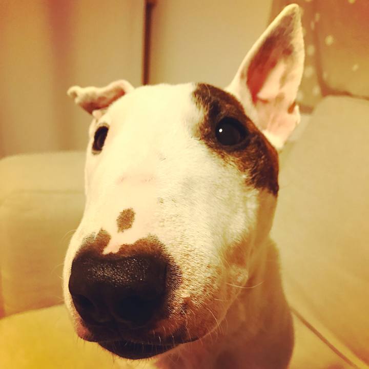 F4fe7be3 f79f 4cbd a938 eced8b8bc93a