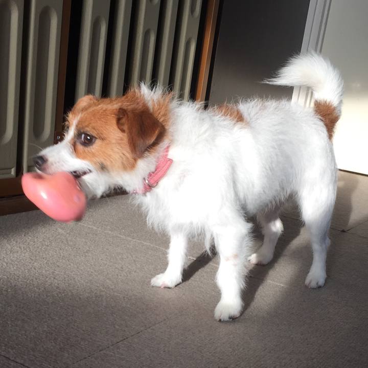 F4ff5301 ed0a 4dae 85b8 30a14921645f