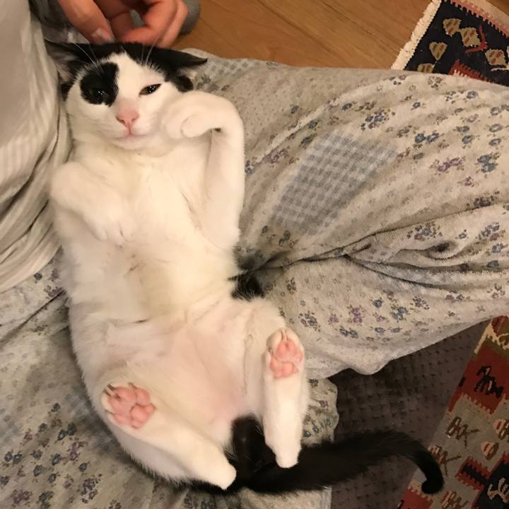 F4ff6f00 8fe8 4f3e a6ae df3312811193