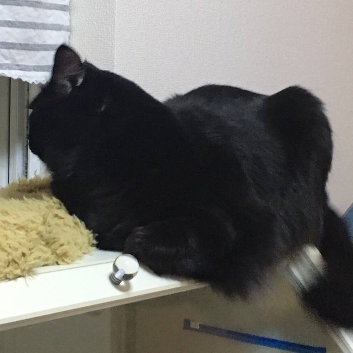 F500439d 8aab 45ea a9b6 a2b1a5424abd