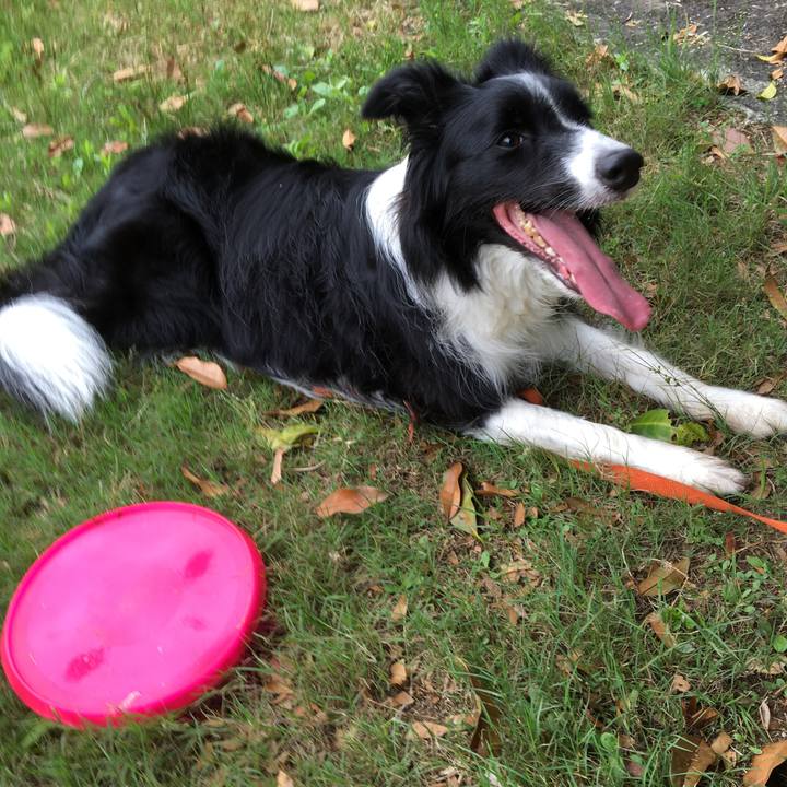 F5006803 7cdb 4722 985e 79d88b509c63