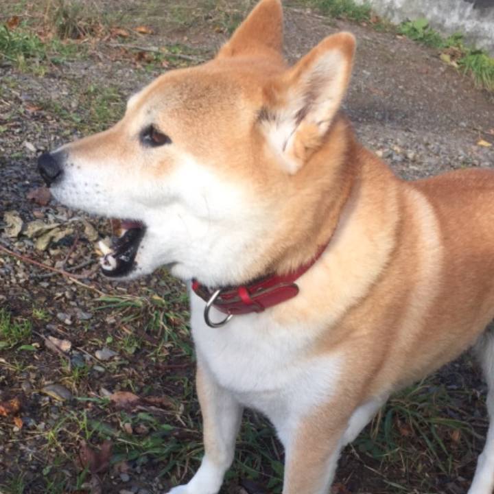 F5010bc2 7e95 46ed 9290 47af69aeaaa7