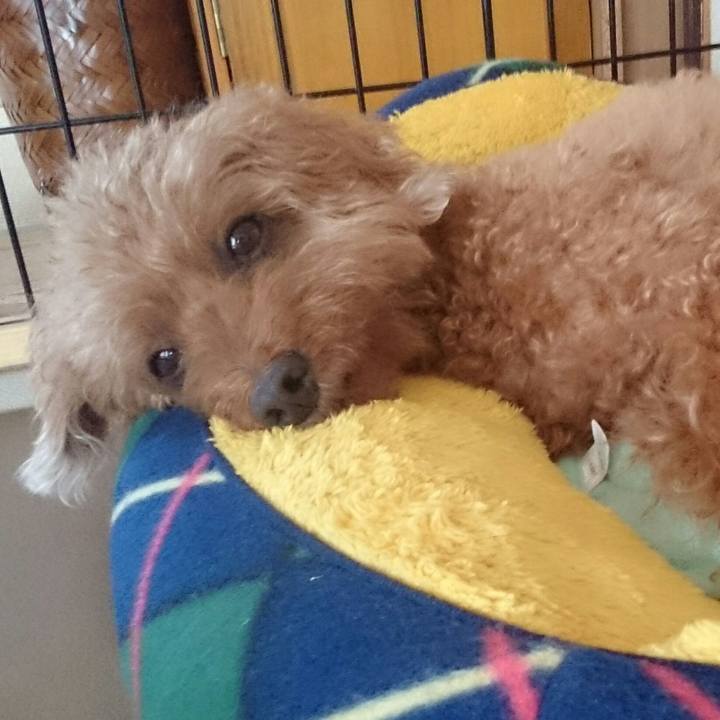 F501ae87 2a56 4355 8c3f 3827a036b4d8