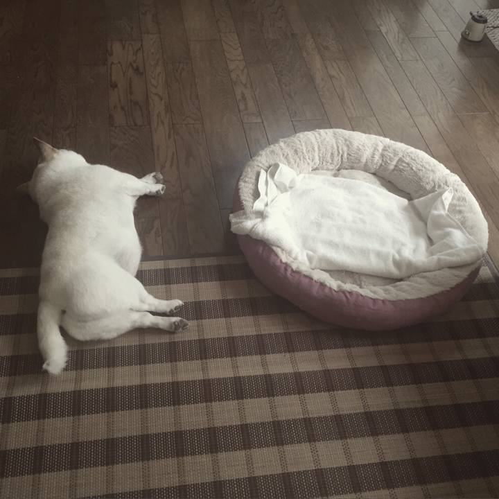 F501d95a 362d 429b a4fa 3ae30ab565f6