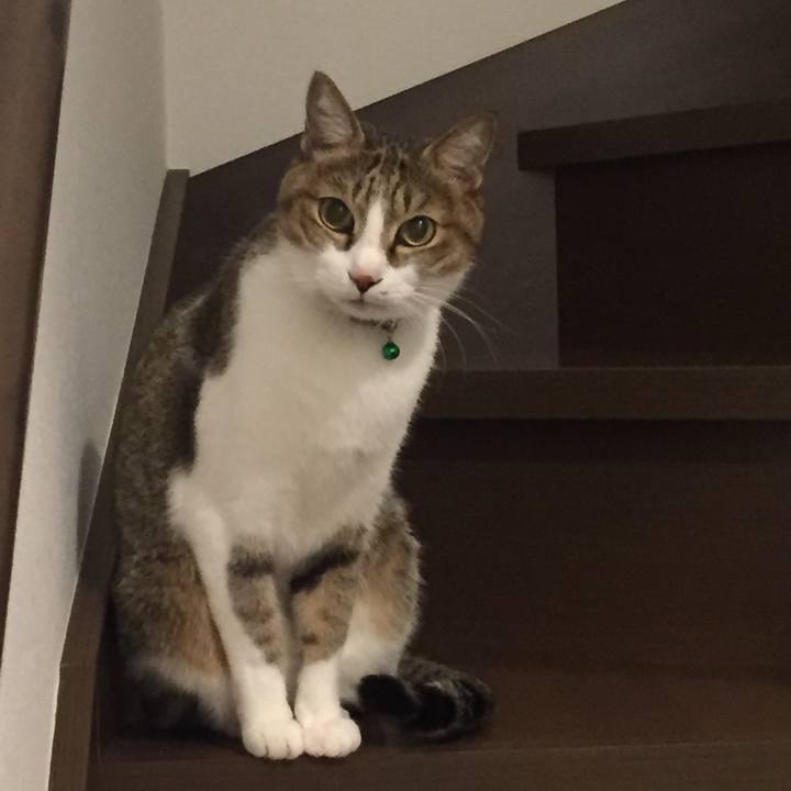 F50247c2 5555 4ec0 8958 4a3d6abb686f