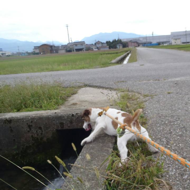 F5028156 ec84 44f2 bb8b 9c1f535969f4