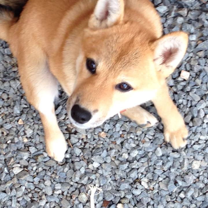 F5030ec3 3355 4add 821c 21670f5b7af8