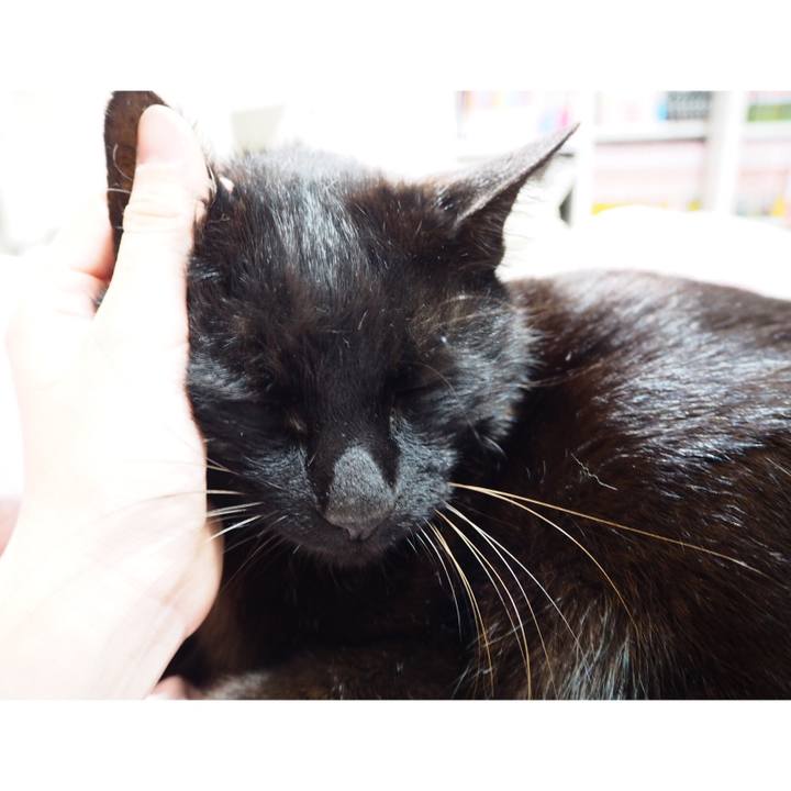 F5032641 0f30 4882 8bbb 3eada163ecf9